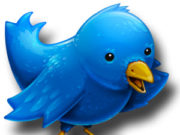 Twitter comptabilise plus de 200 millions d’utilisateurs Twitter