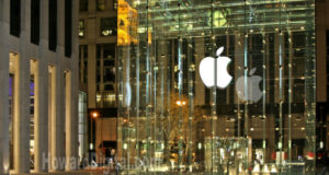 iPhone 5 - Pas de congés pour les salariés des Apple Store entre le 9 et le 12 et les 14 et 15 octobre