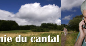 Free Mobile : Quand @mamieducantal annonce un forfait à 15,99€ par mois