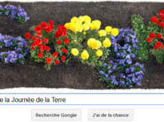 Google fête la Journée de la Terre