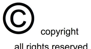 Plagiat, copie de site, duplicate content, vol de contenu... que faire? Comment agir? Quels sont vos recours?