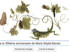 Google fête le 366ème anniversaire de Maria Sibylla Merian [Doodle]