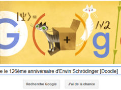 Google fête le 126ème anniversaire d'Erwin Schrödinger [Doodle]