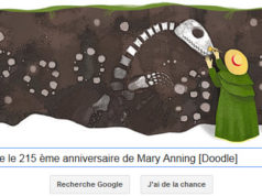 Google fête le 215ème anniversaire de Mary Anning [Doodle]