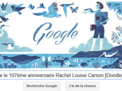 Google fête le 107ème anniversaire Rachel Louise Carson [Doodle]