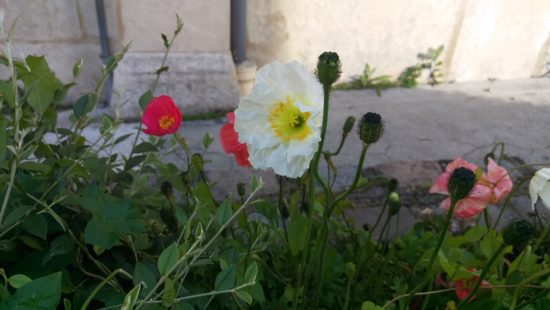 20150615_HTC_One_M9_19