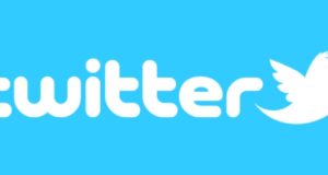 Twitter : suppression de l'image de nos profils, bug ou volonté délibérée?