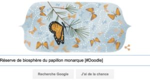 Google fête le 41e anniversaire de la découverte de la réserve de biosphère du papillon monarque [#Doodle]