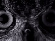 Voici le premier spot publicitaire de l’iPhone 7 Voici le premier spot publicitaire de l'iPhone 7