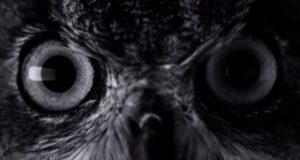 Voici le premier spot publicitaire de l’iPhone 7 Voici le premier spot publicitaire de l'iPhone 7