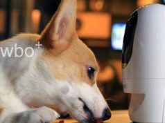 Pawbo+ : une caméra pour surveiller et divertir vos chiens et chats