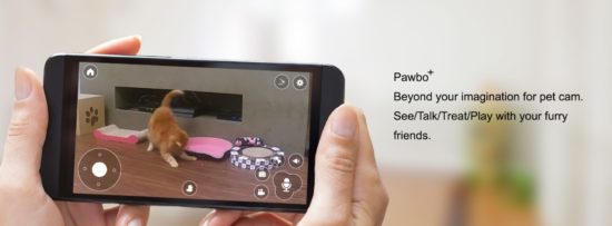 Pawbo+ : une caméra pour surveiller et divertir vos chiens et chats