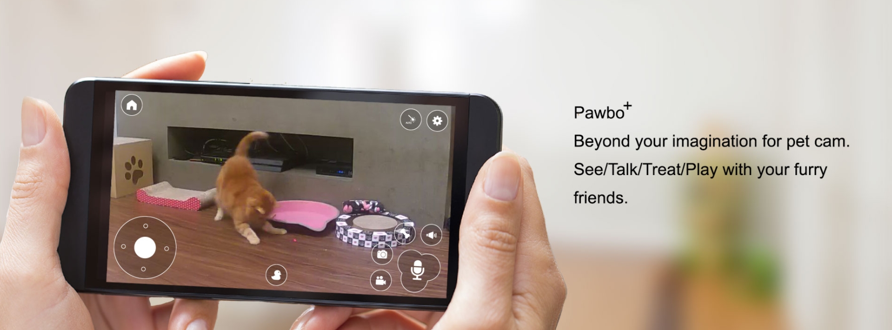 Test Pawbo+ : la caméra pour surveiller son chien ou chat !