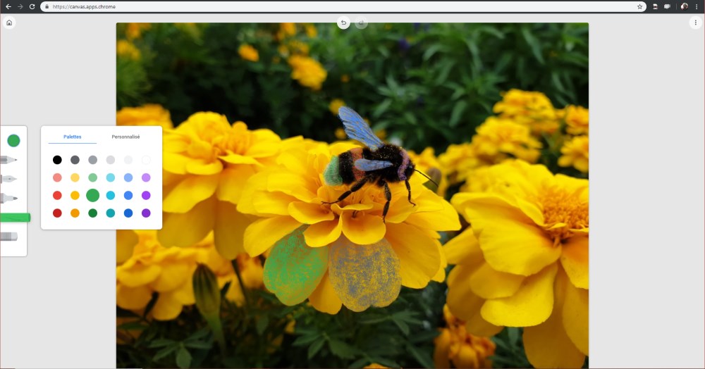 Chrome Canvas : un outil gratuit pour dessiner directement dans le navigateur