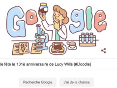 Google fête le 131è anniversaire de Lucy Wills [#Doodle]