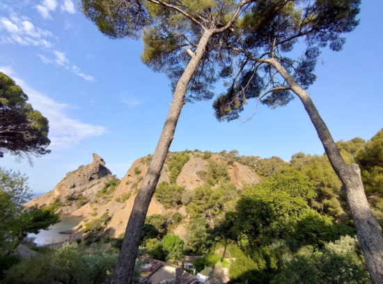 Asus Zenfone 6 : un smartphone équipé d'un capteur photo rotatif [Test]
