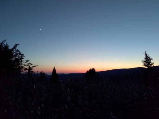 Asus Zenfone 6 : un smartphone équipé d'un capteur photo rotatif [Test]