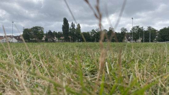 Prise en main de l'iPhone 11