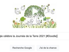 Google célèbre la Journée de la Terre 2021 [#Doodle]