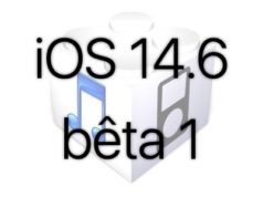 L'iOS 14.6 beta 1 est disponible pour les développeurs