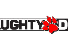 Naughty Dog : 3 projets de jeux video ?