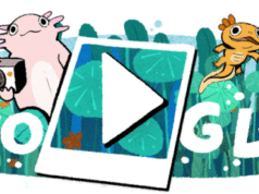 Google met le lac de Xochimilco à l'honneur [#Doodle]