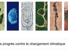 #Doodle : les progrès contre le changement climatique