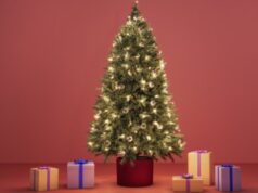 Guirlande WiZ Smart Fairy Light de 20 mètres illuminée en couleurs, installée en intérieur ou en extérieur