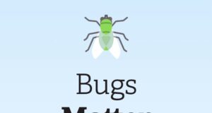 Et si les insectes écrasés sur votre plaque d’immatriculation servaient à sauver la planète ?